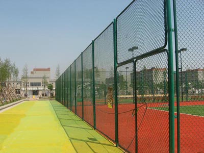 �w���������W